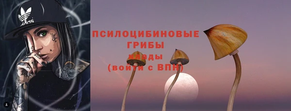 spice Новодвинск