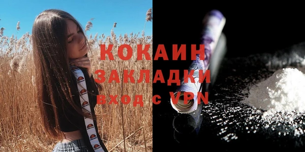spice Новодвинск
