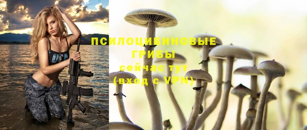 spice Новодвинск
