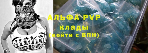 spice Новодвинск