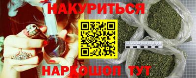 прущие грибы Апрелевка