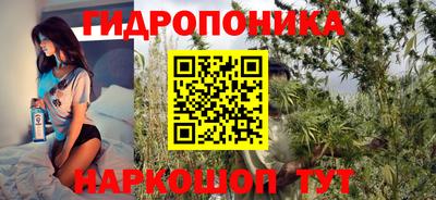 прущие грибы Берёзовский
