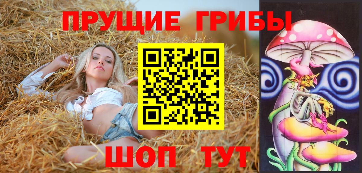 Галлюциногенные грибы Cubensis Батайск