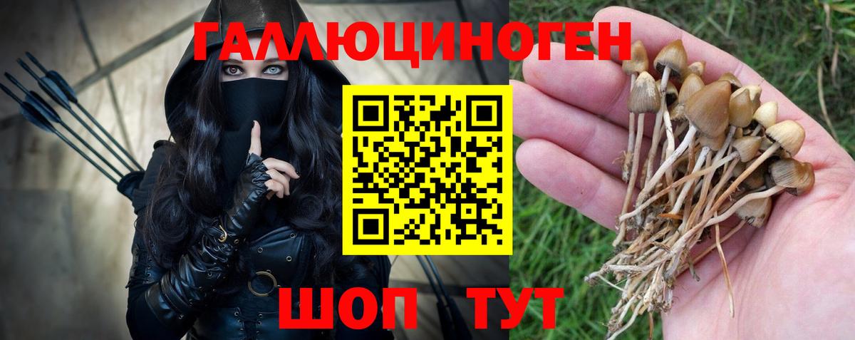 Галлюциногенные грибы мицелий Батайск