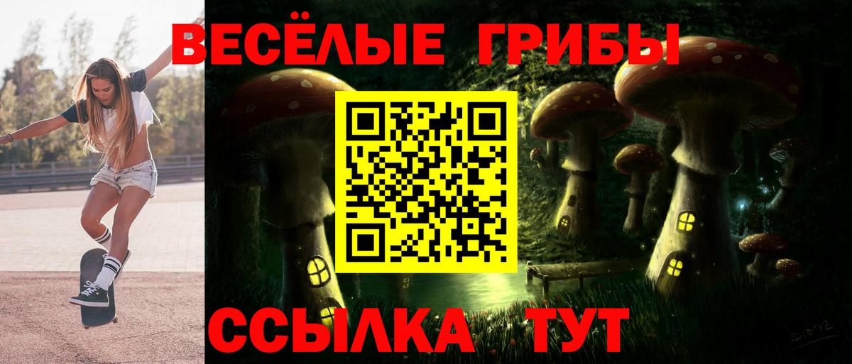 Галлюциногенные грибы Cubensis  Батайск 